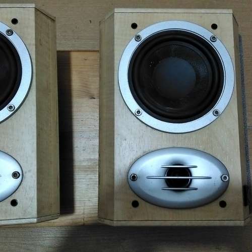 DK Bipolar Speaker