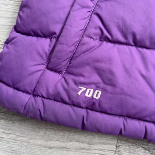 羽絨The North Face 超新淨