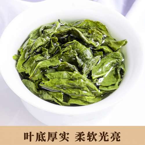 正宗安溪秋茶鐵觀音茶葉新茶清香型500g