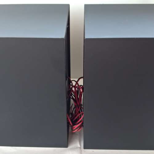 Sony三路分音木音箱