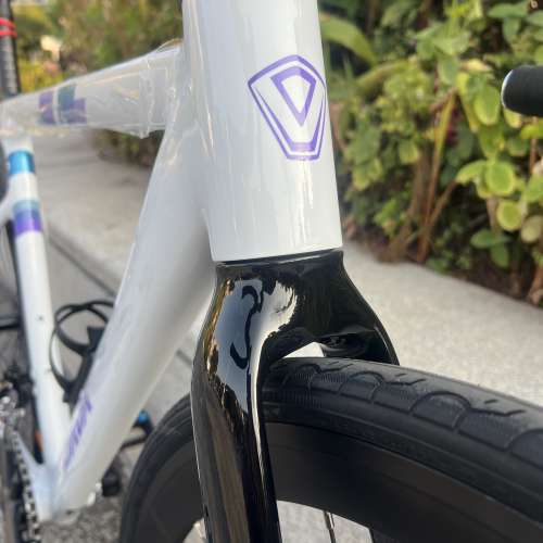 2025 JAVA AURIGA R9 22速 桶軸油剎鋁合金公路車 送水架前後蛙燈