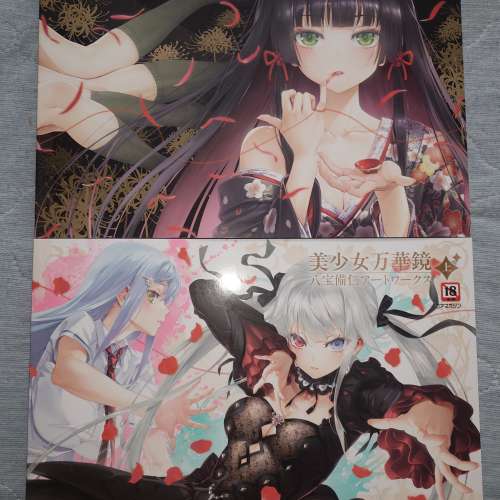 美少女萬華鏡畫冊上下 國外直送連運