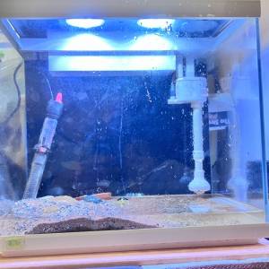 ［［special offer ］］fish tank ⚠️⚠️送$100魚⚠️⚠️