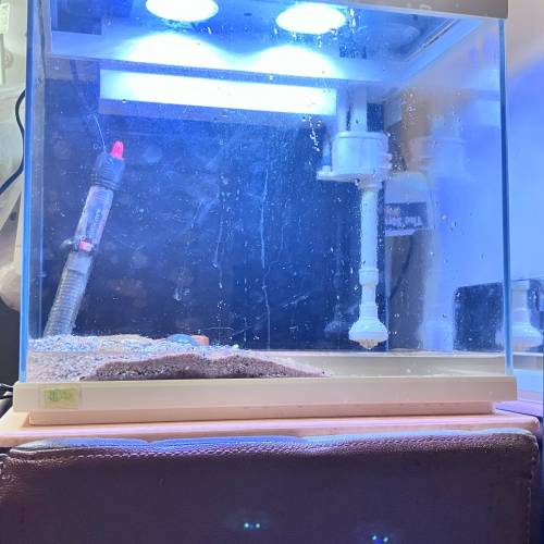 ［［special offer ］］fish tank ⚠️⚠️送$100魚⚠️⚠️