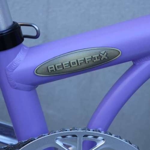 2025 最新顏色 ACEOFFIX Y5 5速 鋁合金折叠車 送前後蛙燈叮叮