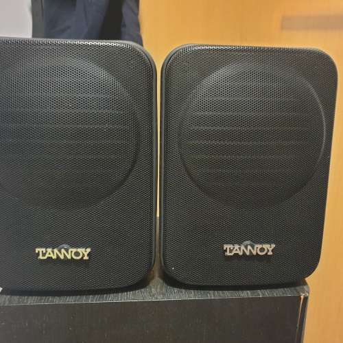 Tannoy天朗CPA5喇叭
