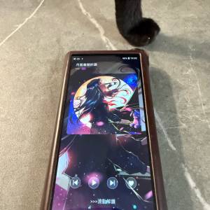 Fiio M15S