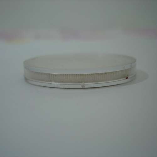 美國 1984 年發行第 23 屆洛杉磯奧運會紀念版 1 圓銀幣