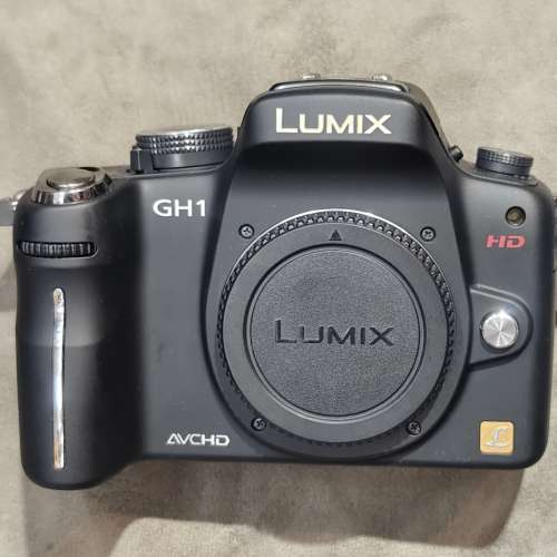 Panasonic GH1 body