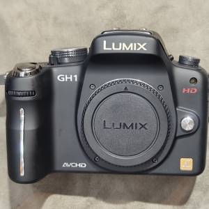 Panasonic GH1 body