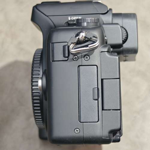 Panasonic GH1 body