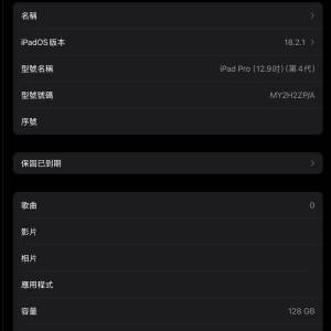 iPad Pro 第四代 12.9 英寸
