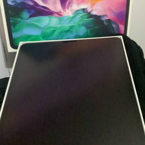 iPad Pro 第四代 12.9 英寸