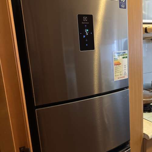Electrolux refrigerator （電雪櫃）