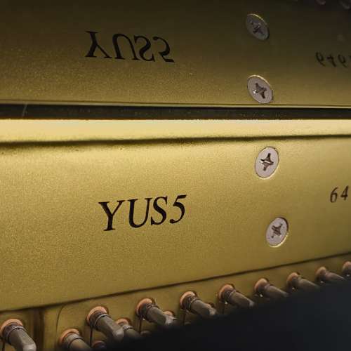 Yamaha yus5