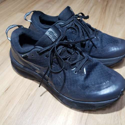 Asics 男裝GTX防水戶外鞋GEL-TRABUCO 12 GTX 42碼 95％新
