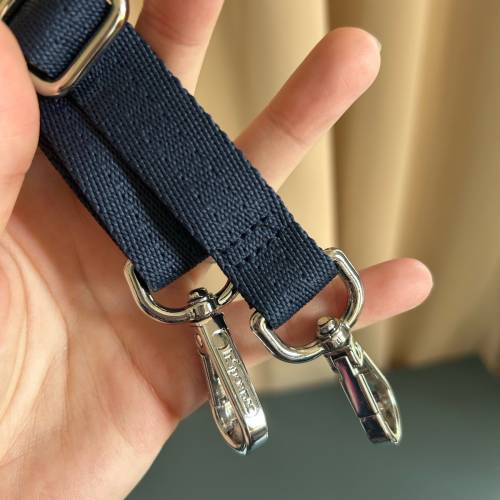 LeSportsac玉桂狗手挽斜孭袋