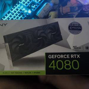 PNY RTX 4080 OC