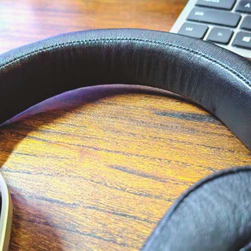 OPPO PM-1 旗艦平面振膜耳機, 收藏級別，使用很少，接近全新。