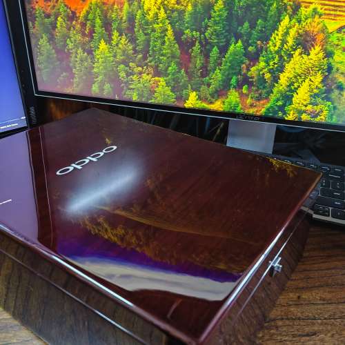 OPPO PM-1 旗艦平面振膜耳機, 收藏級別，使用很少，接近全新。