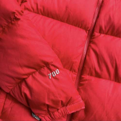 The North Face 9成新二手羽絨 注意描述