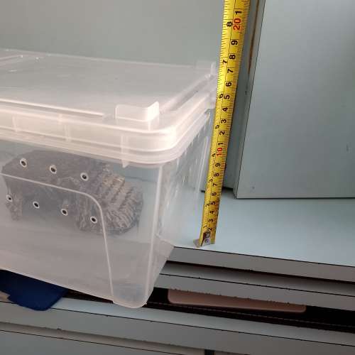 養昆蟲的箱連飾物（12x6吋）$50