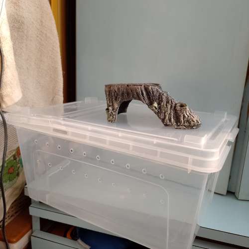 養昆蟲的箱連飾物（12x6吋）$50