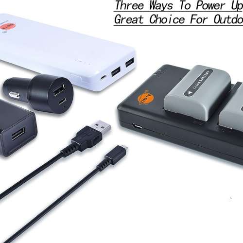 DSTE NP-FV50 Lithium-Ion Battery Pack With Dual USB Charger 代用鋰電池連平放式...