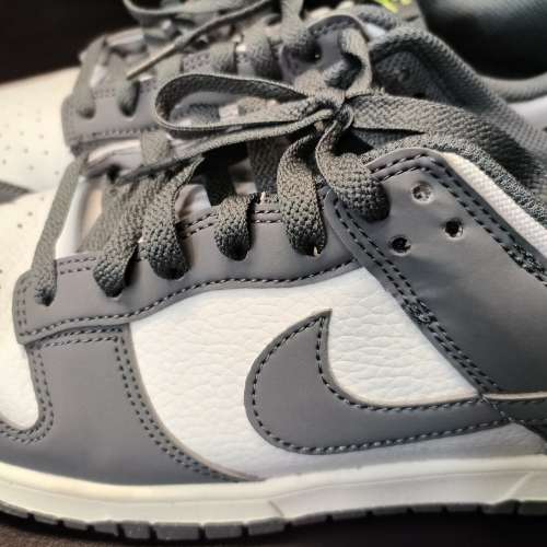 NIKE DUNK LOW (US 10)