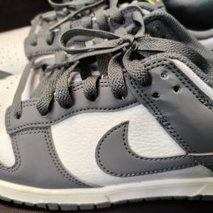 NIKE DUNK LOW (US 10)
