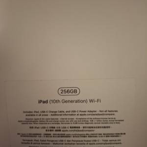 Ipad 10th Gen 256GB Wi-Fi