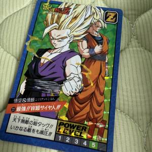 龍珠閃中閃