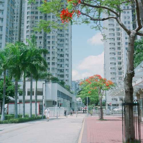 Minolta Autocord 雙鏡相機 （中幅） 雙鏡 雙反 120相機 腰平取景