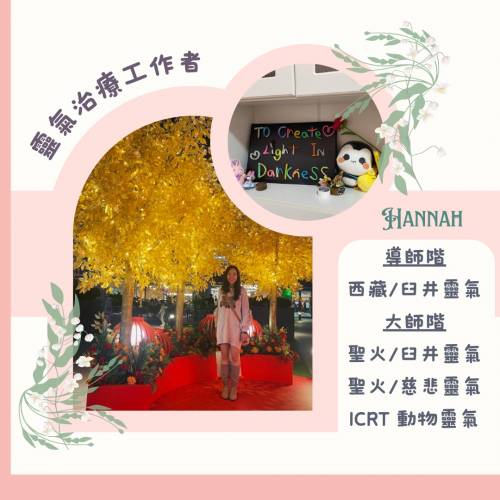 公益靈氣療癒 $1️⃣1️⃣1️⃣/位｜聖火𦥑井｜聖火慈悲｜聖火動物｜荔枝角億利工業...