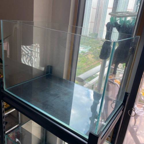 玻璃缸 養魚養龜