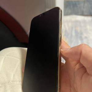 iPhone 13 promax