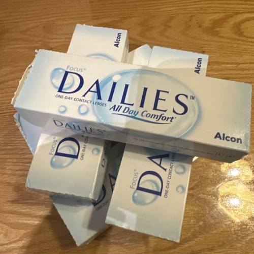 focus dailies