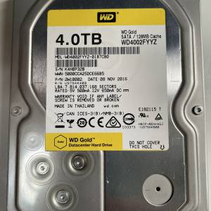 WD 4T  Gold enterprise