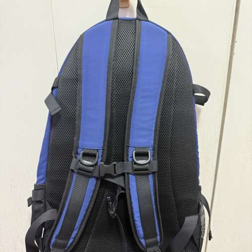 日本潮牌 DANTON BACKPACK 27L 9成新