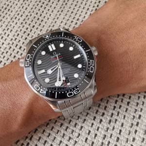 海馬300 （VS V4)