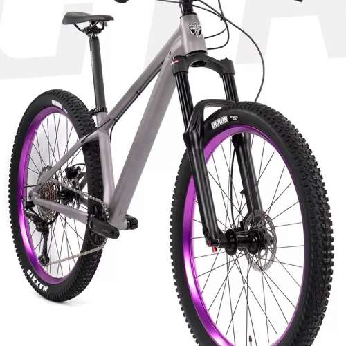 2025 TWITTER GTR 13速/ 12速 桶軸碟剎 鋁合金土坡車 山地車 送水架前後蛙燈叮叮