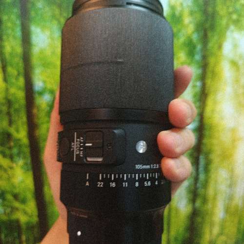 Sigma 105 2.8 macro