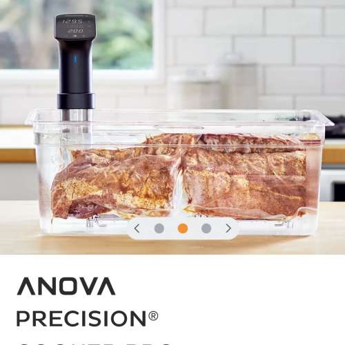 Anova Precision Cooker PRO 智能慢煮棒 AN600-UK00 連16L容器