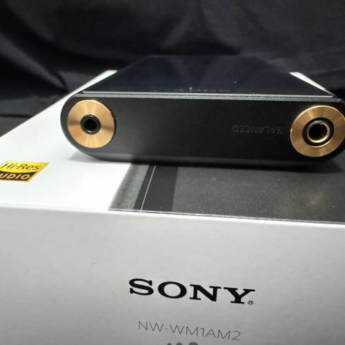 Sony Wm1a m2