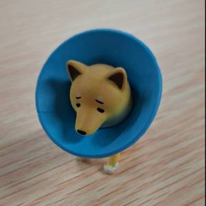 figure  dog