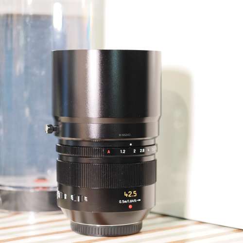 LEICA DG NOCTICRON 42.5mm / F1.2 ASPH. / POWER O.I.S.