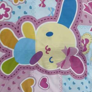 睇下文‼️Usahana pillowcase $59一個、$100兩個 花小兔枕頭套 彩虹兔枕頭套 枕套 ...