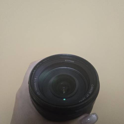 Canon RF24-105mm F4 L IS USM