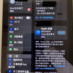 iPad mini 7 128g Cellular