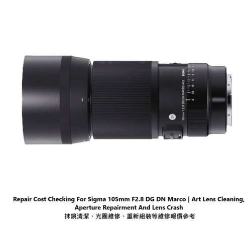 Repair Cost Checking For Sigma 105mm F/2.8 DG DN Marco | Art Lens Cleaning